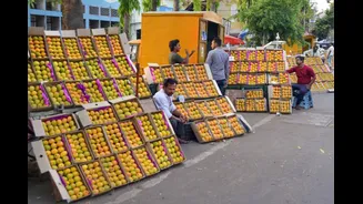 GK: Do You Know Which City Is Known As The Mango City Of India?