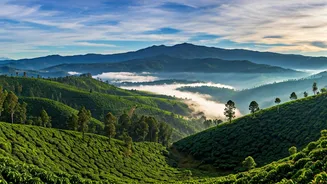 Misty Chikmagalur Hills Rule Social Media Travel Feeds This Week