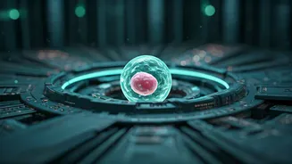 Sleep: Your Body's Secret Repair Crew and the Science Behind the 7-Hour Cycle