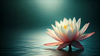 Buddha Purnima 2026: Mark May 1st for Enlightenment, Rituals & Sacred Teachings