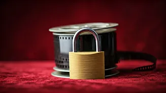 Taylor & Travis: The Privacy Game