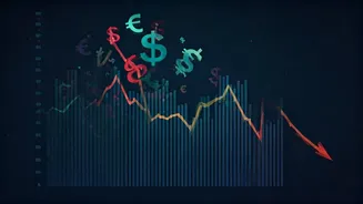 2024's Multibaggers: Were They Busted in 2025?