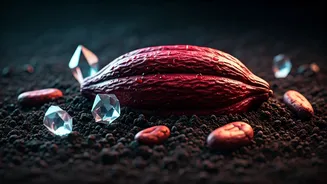 Amazonian Cocoa: Unlocking Superfood Potential Through Science and Smart Processing