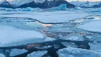 A 76-Square-Kilometre Ice Section Breaks from Petermann Glacier