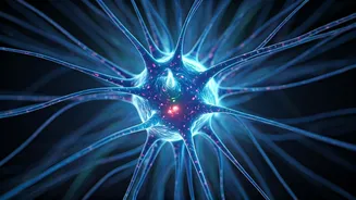 Unlocking Behavioral Flexibility: The Brain Chemical That Helps Us Break Old Habits