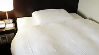 The Mid-August Hotel Rate Surge Adds New Context to Hotel Room Comparison