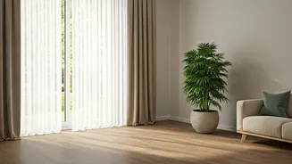 Bring Back That Fresh Home Feeling This Rainy Season