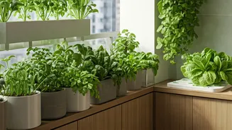 Urban Gardening Trends Go Viral In Cities