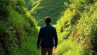 Barefoot Hiking: The Difference Between Sensory Stimulation and Proven Health Benefits