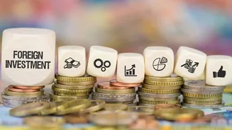 FPIs should return to Indian equities this year: Here's why