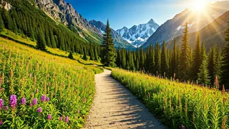 Embark on Your Adventure: 11 Breathtaking Indian Trails for First-Time Trekkers