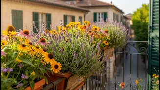 Bee-Friendly Balcony Care Begins With What You Plant And What You Avoid