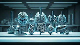 10 Essential Annual Health Check-ups for Adults: Catching Silent Diseases Early