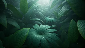 Green Landscapes Make Rainy Trips Feel Premium