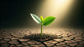 Ken Wilber's Wisdom: How Practice Transforms Intentions and Fuels Lifelong Growth