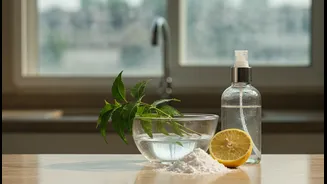Low-Chemical Monsoon Cleaning Makes Vinegar, Neem and Baking Soda More Relevant to Renters and Home Cleaners