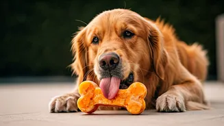Craft Frozen Pumpkin Puree Enrichment Toys To Keep Dogs Active