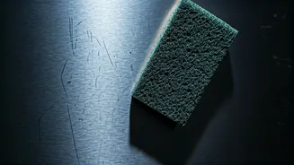 The Perilous Sponge: Why Your Appliance's Finish is at Risk