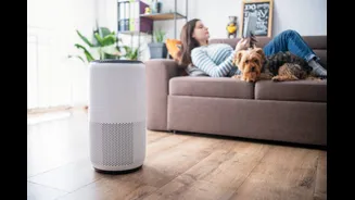 Best Air Purifiers under Rs 15,000 in 2025: Coway, Philips, Xiaomi and more