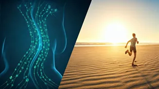 Rebounding vs. Sand Running: Which is Superior for Boosting Lymphatic Drainage?