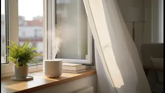 How Renter-Friendly Anti-Mould Strategies Prevent Musty Odours In Densely Packed Urban Flats