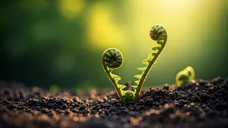 Uncommon & Strong: Top Baby Names Inspired by April's Fresh Beginnings