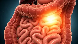 The Sweet Truth: Why Post-Meal Cravings Signal Nutritional Gaps