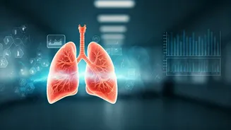 Related Stories banner