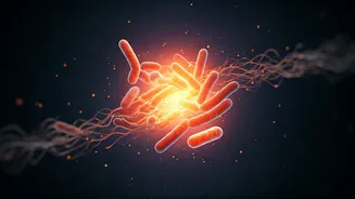 Indian Kitchens Already Had Gut-Health Answers