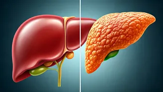 What is Fatty Liver Disease? A Simple Guide