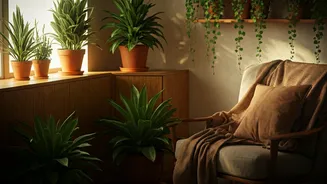 This Monsoon Home Trend Is Everywhere