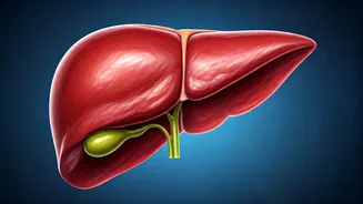 Reversing Fatty Liver: A Diet-Focused Guide