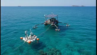 Scientists Link Better Ocean Observation To Stronger Coastal Planning