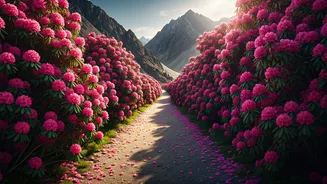 Leh’s Pristine Rhododendron Paths Dominate Adventure Club Feeds Now