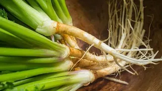 How to use cilantro roots in cooking
