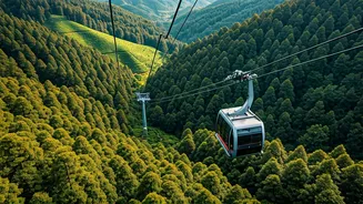 Glide Above Nature's Green Wonderland