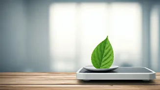 Related Stories banner