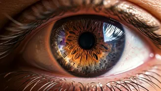 The Body's Response to Extended Sleep Cycles