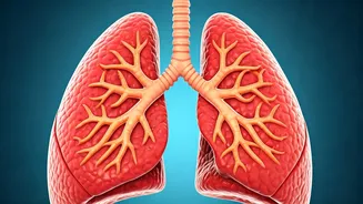 Eat These 7 Foods For Healthy Lungs