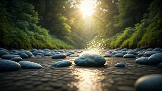 Sister Shivani's Wisdom: Forgiveness for Moms - Your Path to Inner Peace & Healing