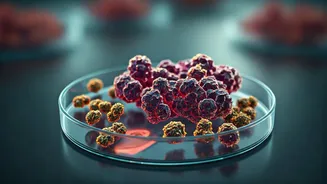 Related Stories banner