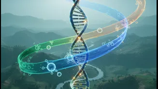 Ageing Differently Is A Science Story, Not Doom