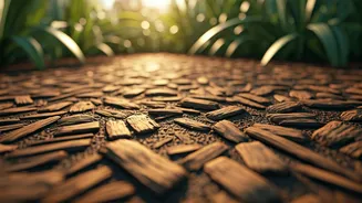 Mulch and Termites: Expert Tips to Safeguard Your Home and Garden