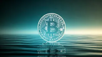 Digital Money Moves Need Calm, Not Panic