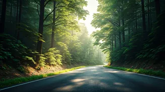 Green Drives Are The New Weekend Mood Board