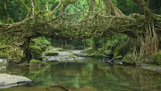 Mawlynnong Gives Residents One Tourist-Free Day Each Week