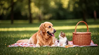Weekend Socialising Gets Better With Pets