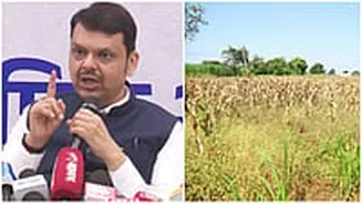 Maharashtra Declares Drought In 265 Talukas; 8 From Pune District Included, Relief Measures Announced