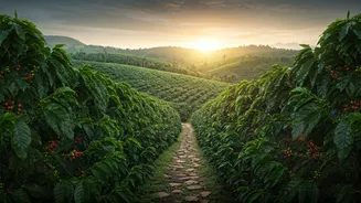 Discover Coorg's Enchanting Gems: A Journey Through Misty Hills and Cultural Wonders