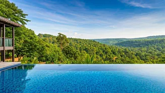 Wayanad Resorts Witness Booking Surge Follow Massive Discount Announcements Online